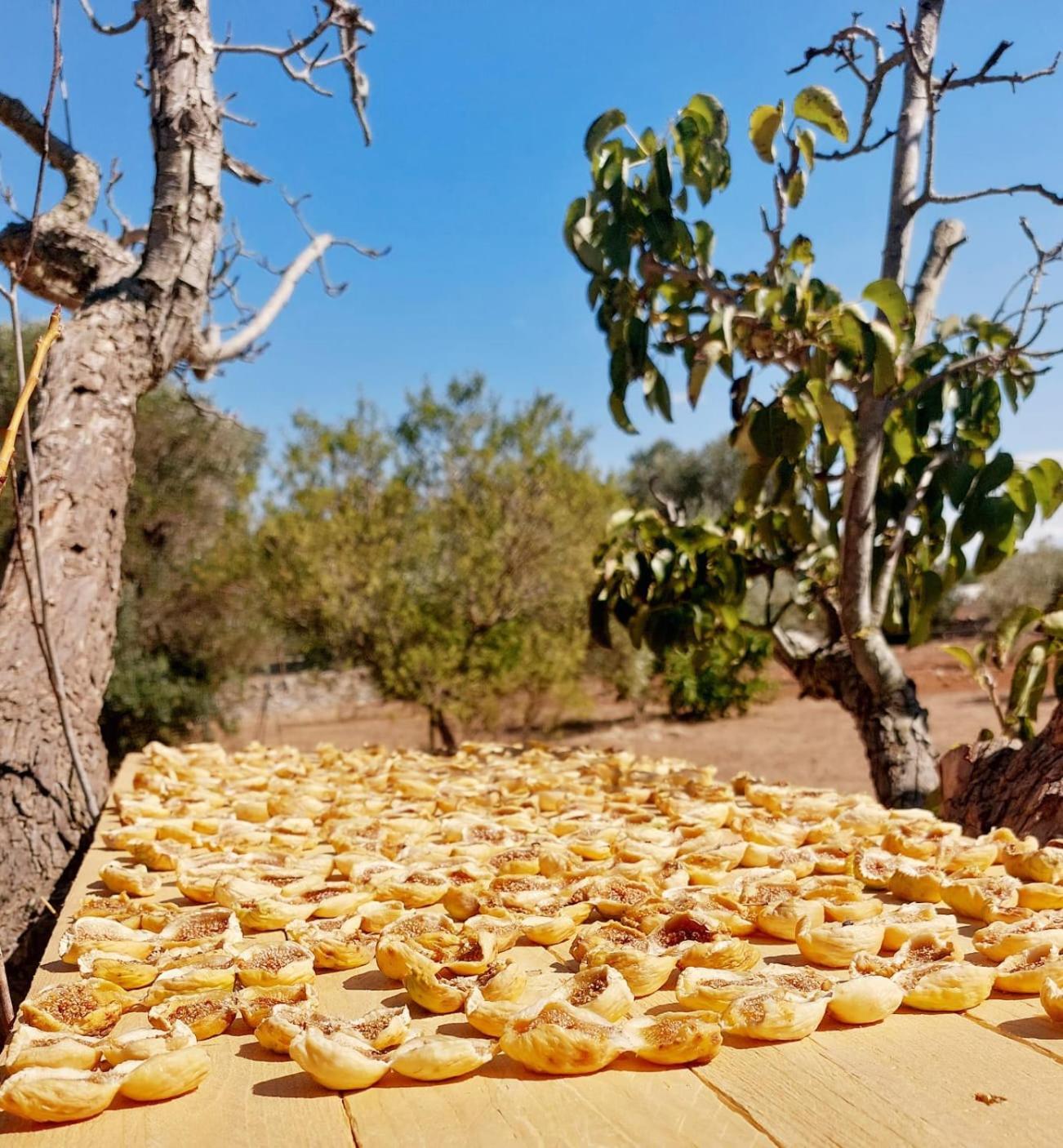 Trulli Aurasia Ostuni Eksteriør bilde