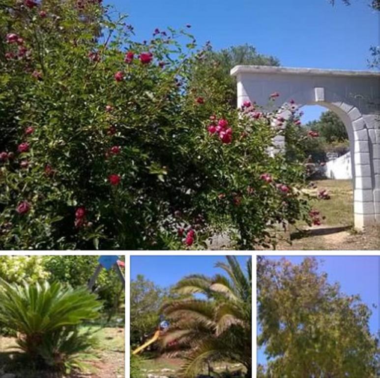 Trulli Aurasia Ostuni Eksteriør bilde