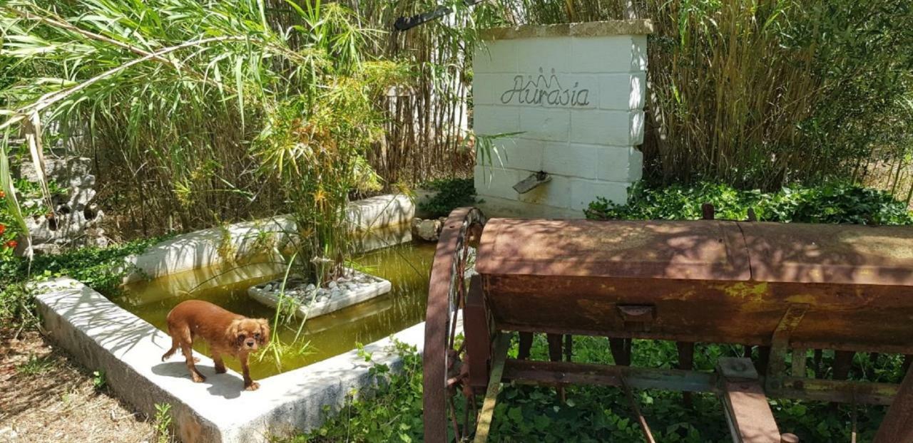 Trulli Aurasia Ostuni Eksteriør bilde