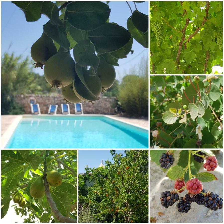 Trulli Aurasia Ostuni Eksteriør bilde